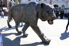 IMG_5359_1440x960