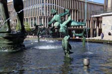 IMG_5980_1440x960