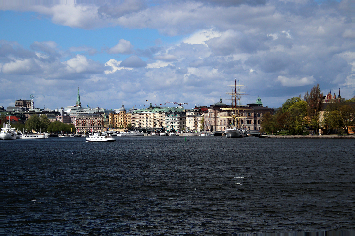 IMG_7971_1440x960