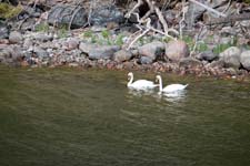 IMG_7261_1440x960