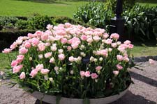 IMG_8255_1440x960