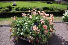 IMG_8264_1440x960
