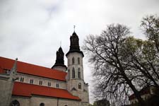 IMG_9529_1440x960