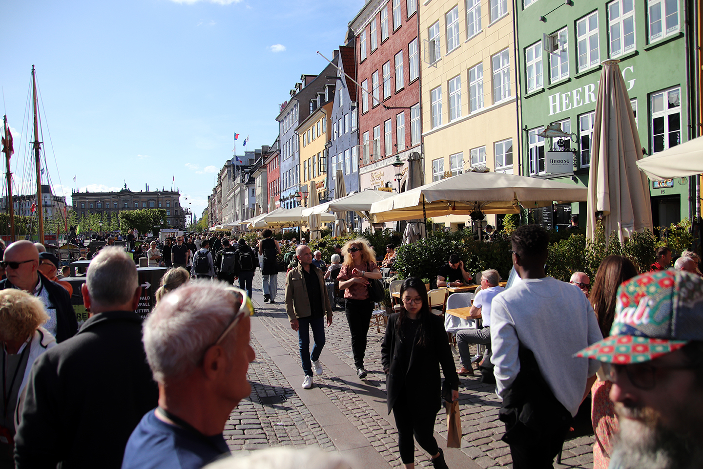 IMG_0496_1440x960