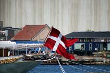IMG_0231_1440x960