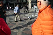 IMG_0741_1440x960